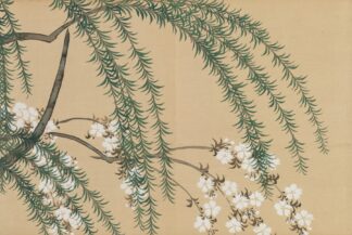 Willow and Cherry by Kamisaka Sekka