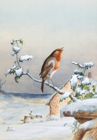 Winter – A Cock Robin by Harry Bright