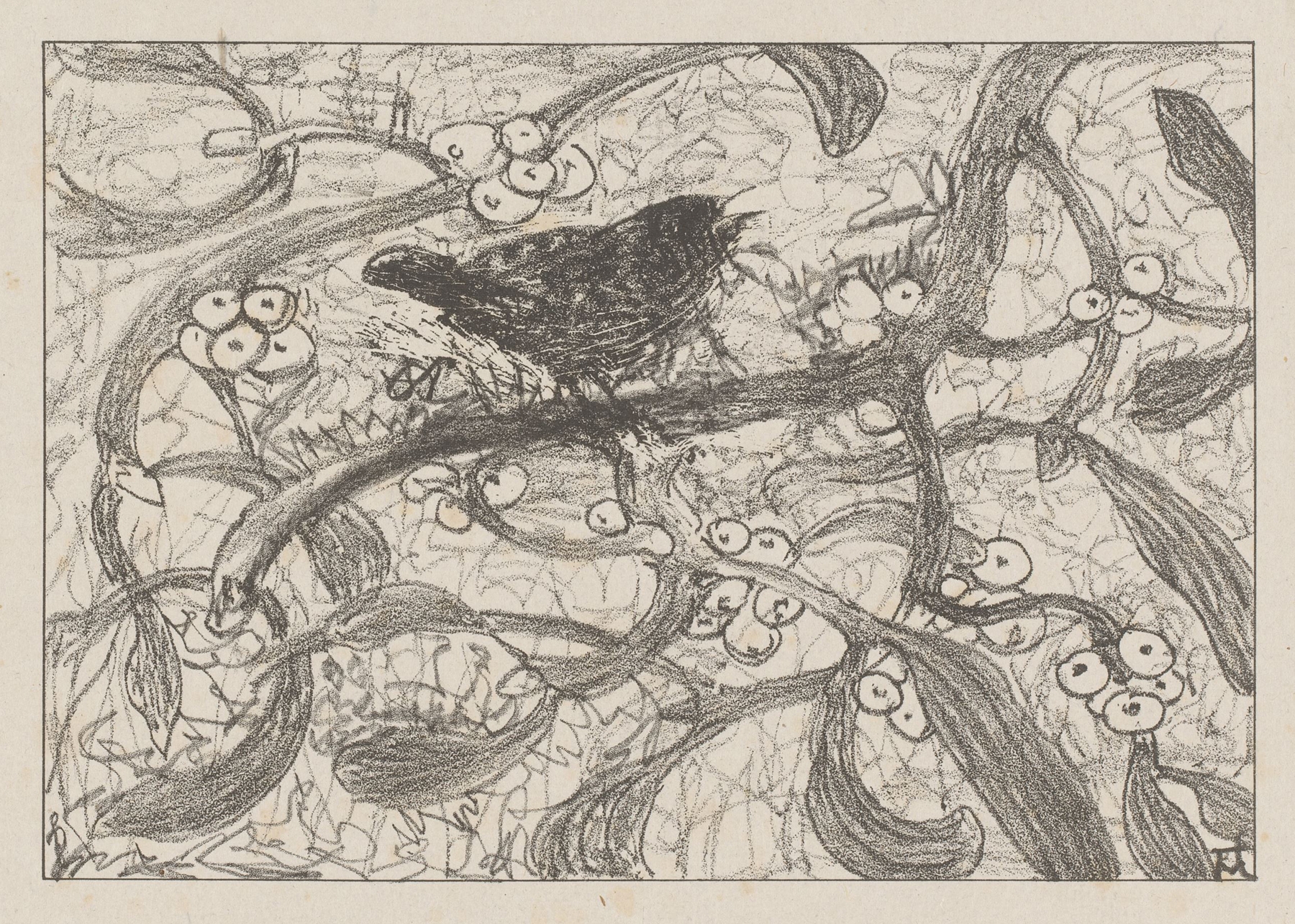 Winterkoninkje op maretak by Theo van Hoytema