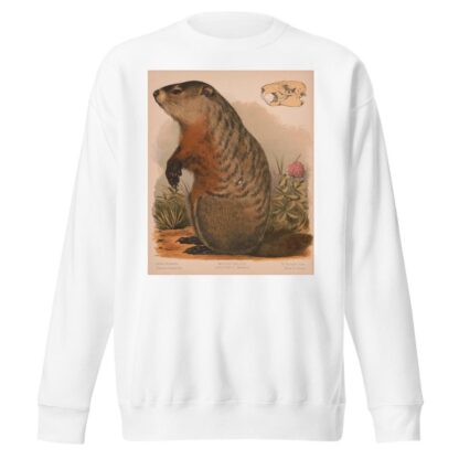 Woodchuck – Arctomys monax by Louis Prang & Co. Sweatshirt