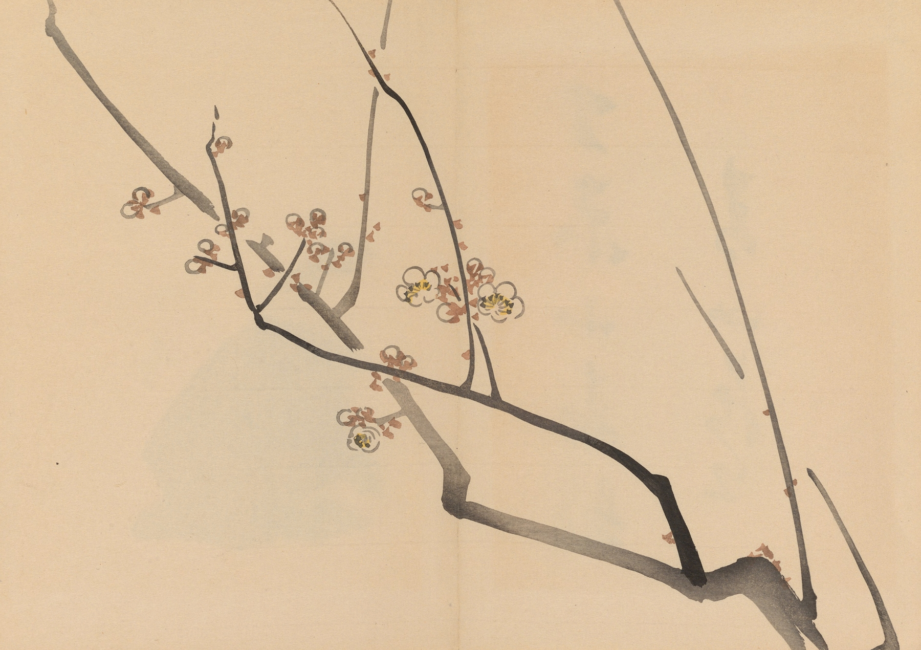 Zeshin iboku tairyūkyo gafu, Pl.01 by Shibata Zeshin