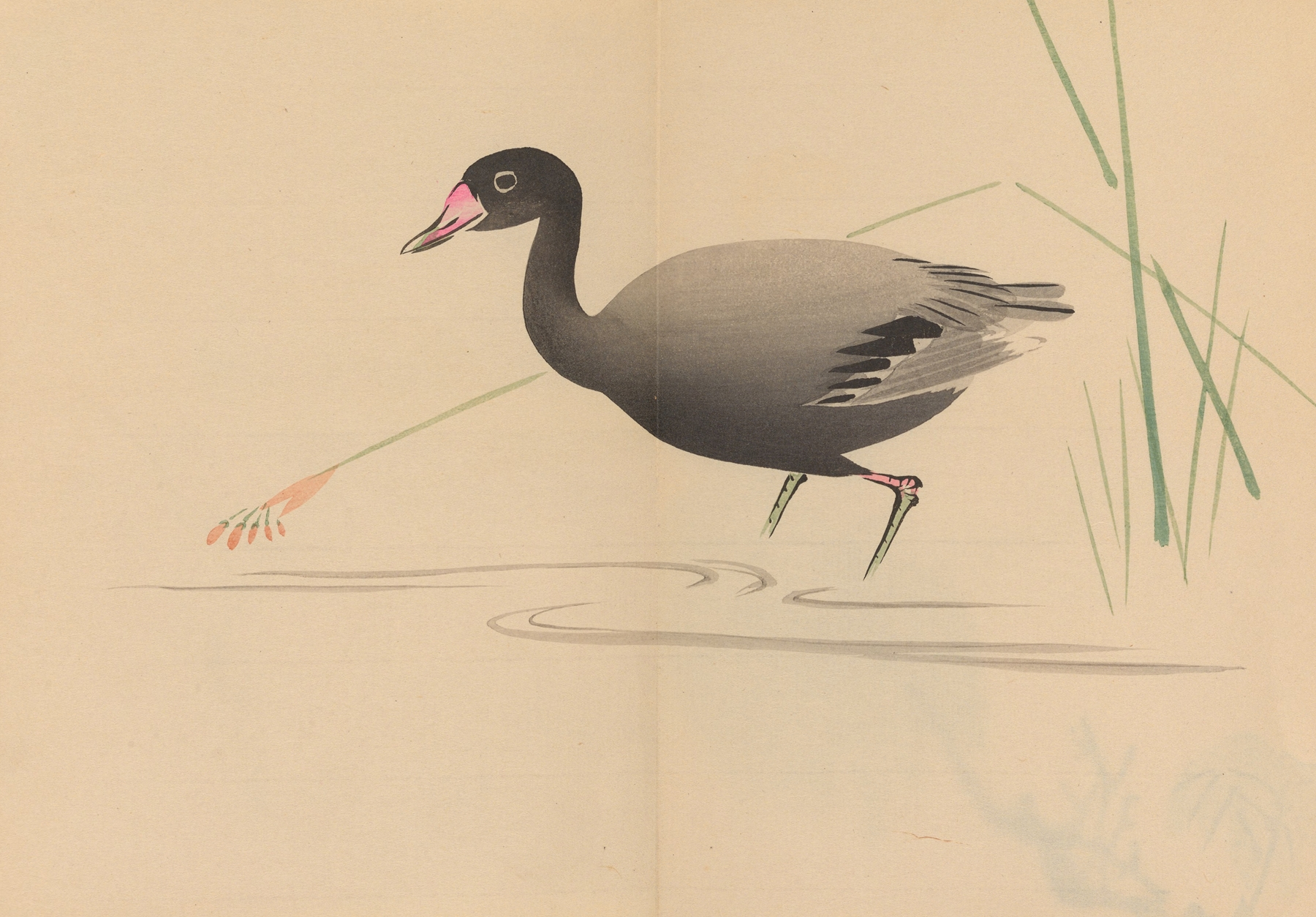 Zeshin iboku tairyūkyo gafu, Pl.07 by Shibata Zeshin