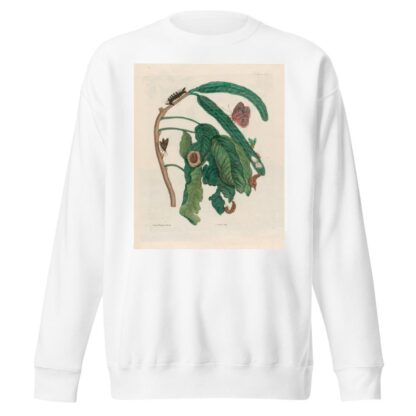 Zoete Boonen-Boom by Maria Sibylla Merian Sweatshirt