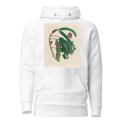 Zoete Boonen-Boom by Maria Sibylla Merian Hoodie