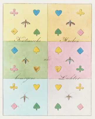 Zur Farbenlehre Pl.13 by Johann Wolfgang Von Goethe