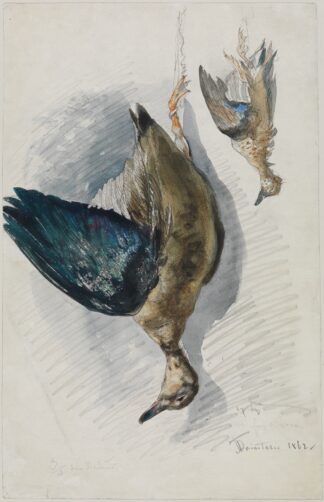 Zwei Studien eines Vogels by Ferdinand Keller